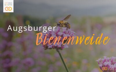 OPTIN goes Augsburger Bienenweide