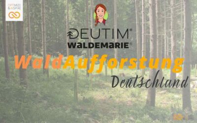 Waldemarie | OPTIN-Waldaufforstung