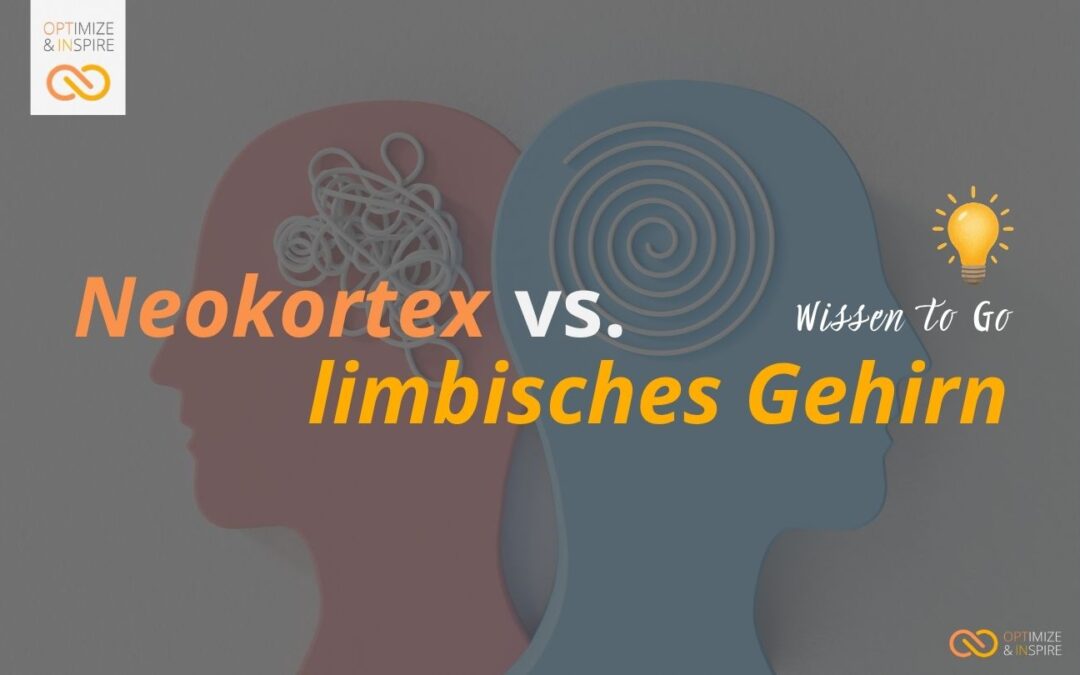 Warum dein Gehirn den wahren Business-Erfolg steuert